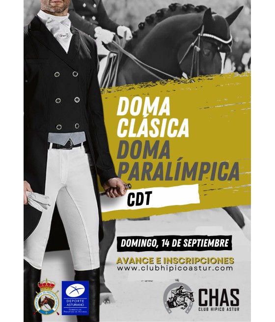 BOX TRANSITO CONCURSO DOMA...
