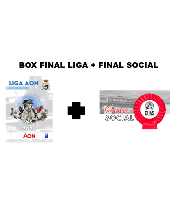 BOX FINAL LIGA+SOCIAL SOCIOS