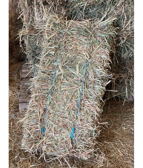 AVENA RAMA PAQUETE PEQUEÑO