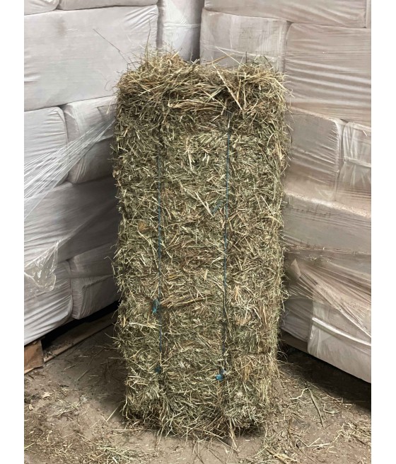 HENO ORIGEN LEON PAQUETE...