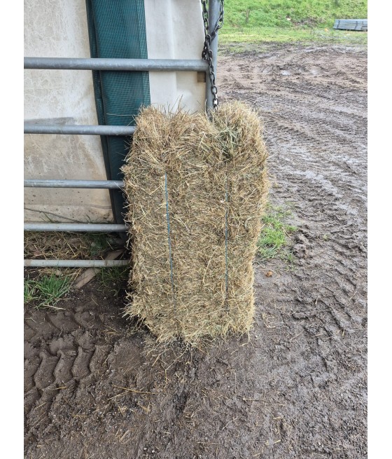 HENO HORTAL PAQUETE PEQUEÑO